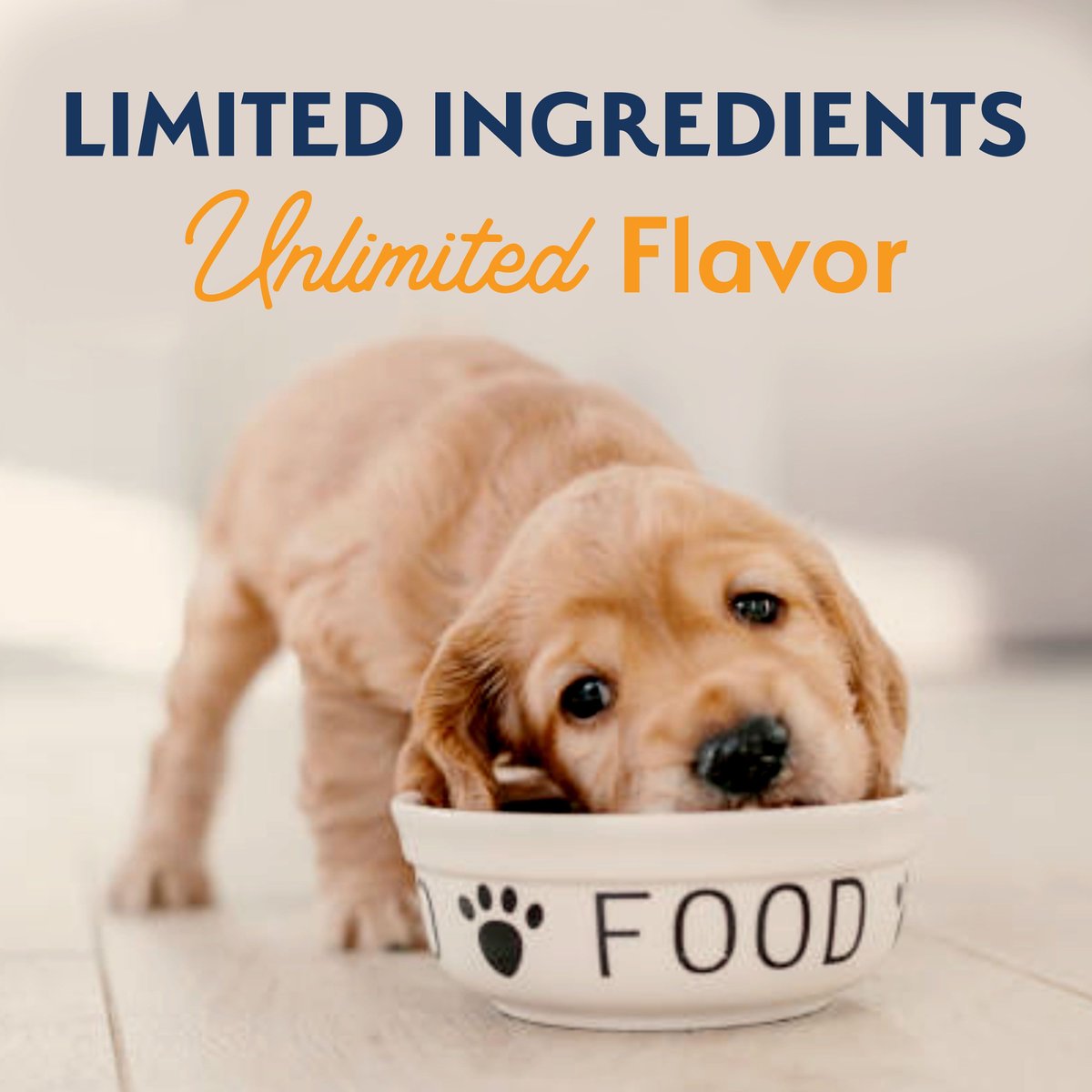 Natural Balance Limited Ingredient Reserve Grain-Free Duck and Potato Puppy Recipe Dry Dog Food