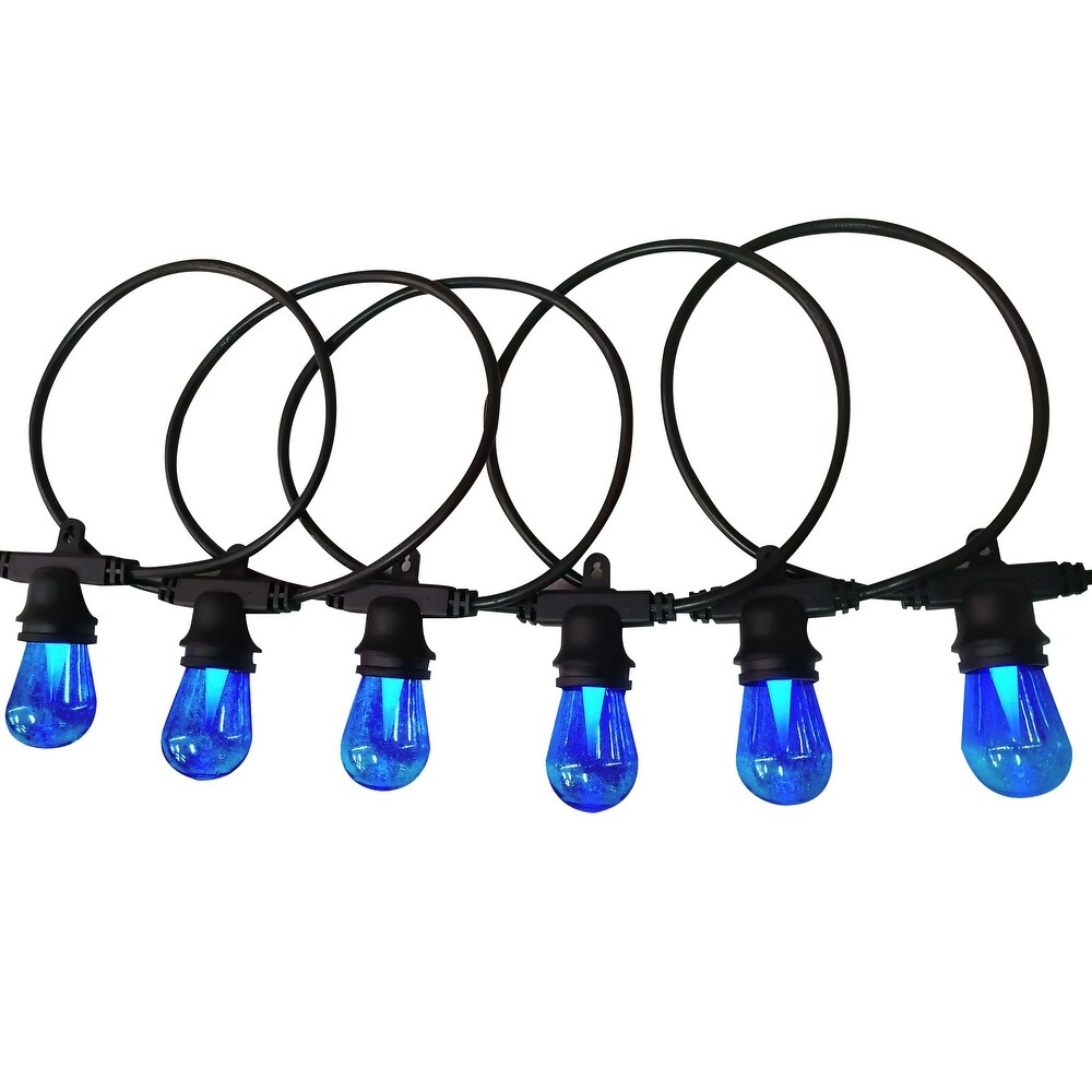 LEDPAX 24 Light 48 ft. Indoor and Outdoor LED String Light  Changing Color Lights   48 Foot