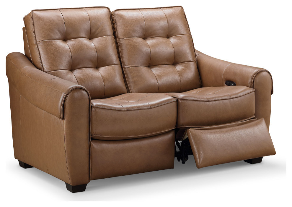 Elliot Leather Power Reclining Loveseat  Camel   Contemporary   Recliner Chairs   by Abbyson Living  Houzz