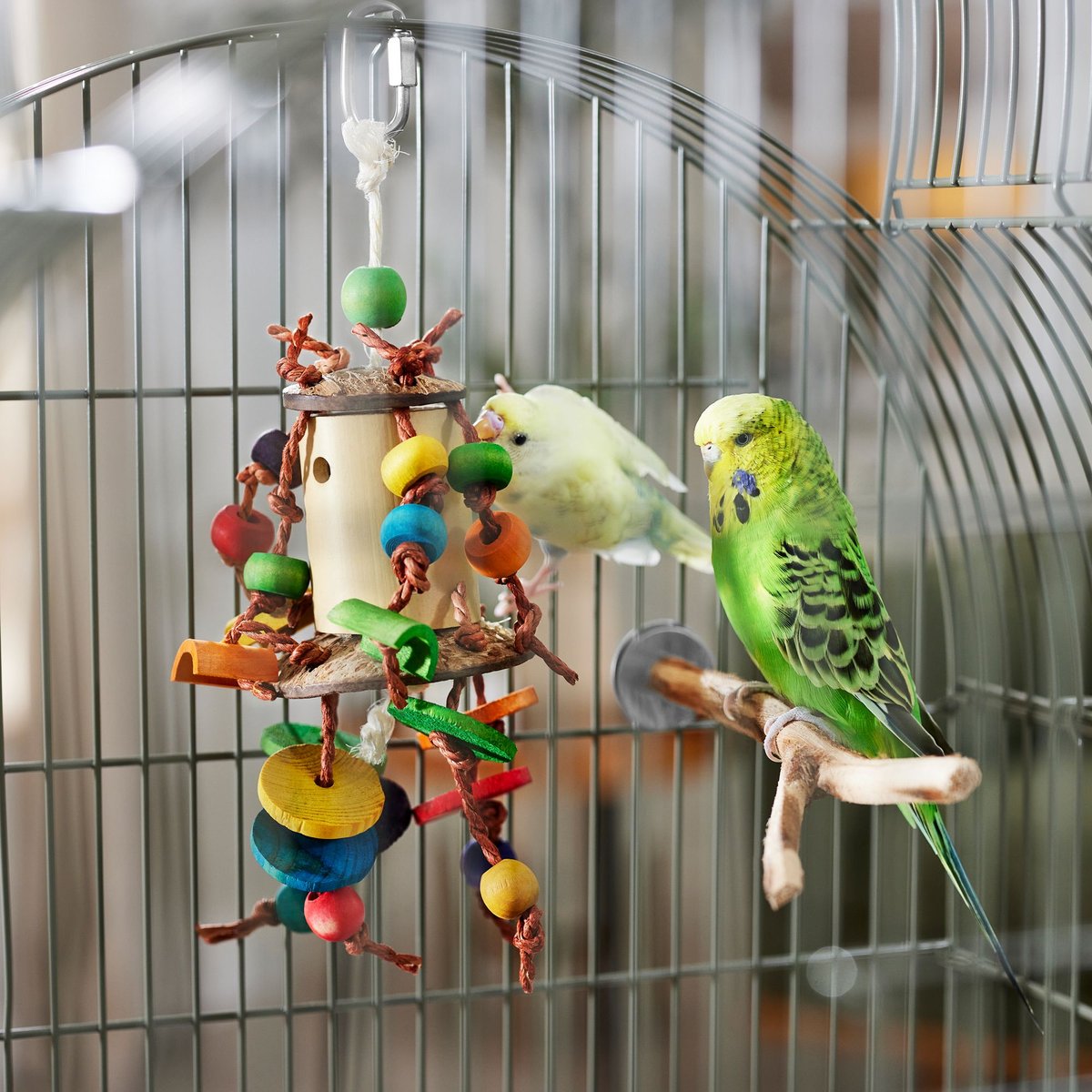 Frisco Knotted Activity Cluster Bird Toy