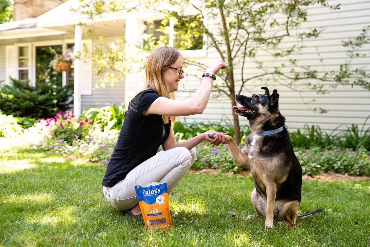 Finley's Barkery Lamb Recipe Soft Chew Training Bites Dog Treats， 16-oz bag