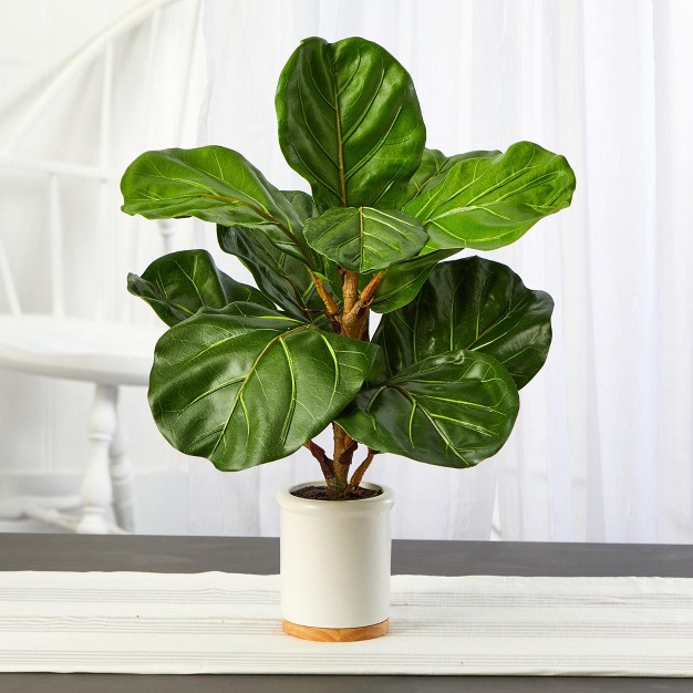 Nearly Natural 21 in Fiddle Leaf Artificial Tree In White Ceramic Planter