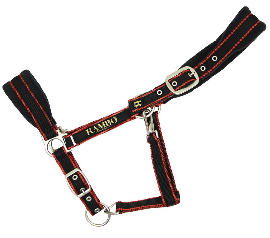 Rambo Padded Halter - Closeout， Black (Orange/Tan Trim)， Size: Cob