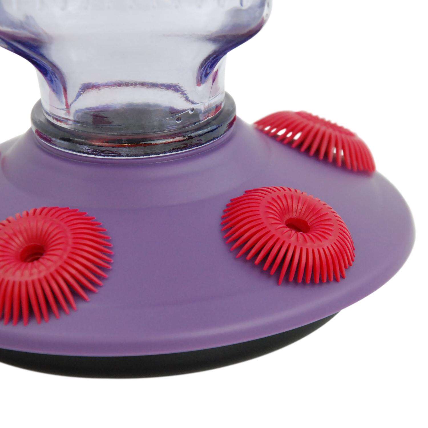 Perky-Pet Hummingbird 16 oz Glass/Plastic Nectar Feeder 5 ports