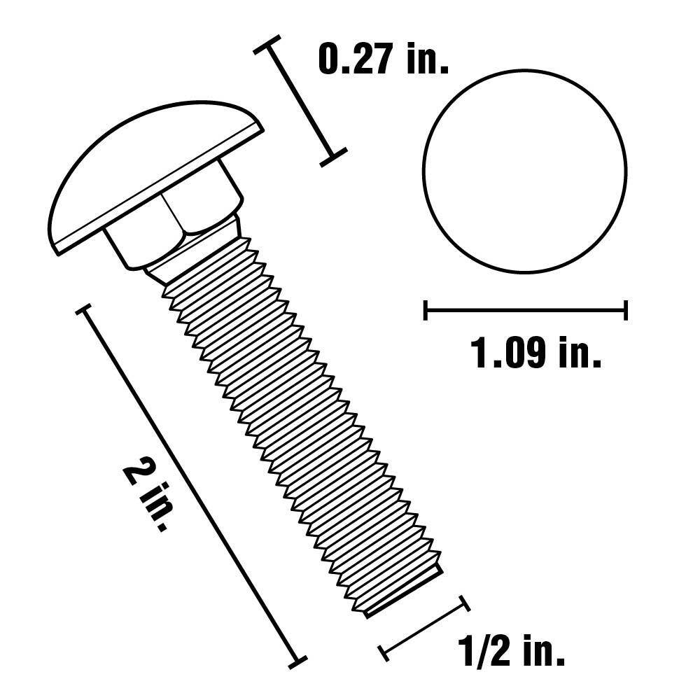 Everbilt 12 in.-13 x 2 in. Stainless Steel Carriage Bolt 812016