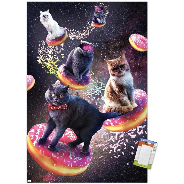 Trends International James Booker Galaxy Space Cats Riding Donuts Unframed Wall Poster Prints