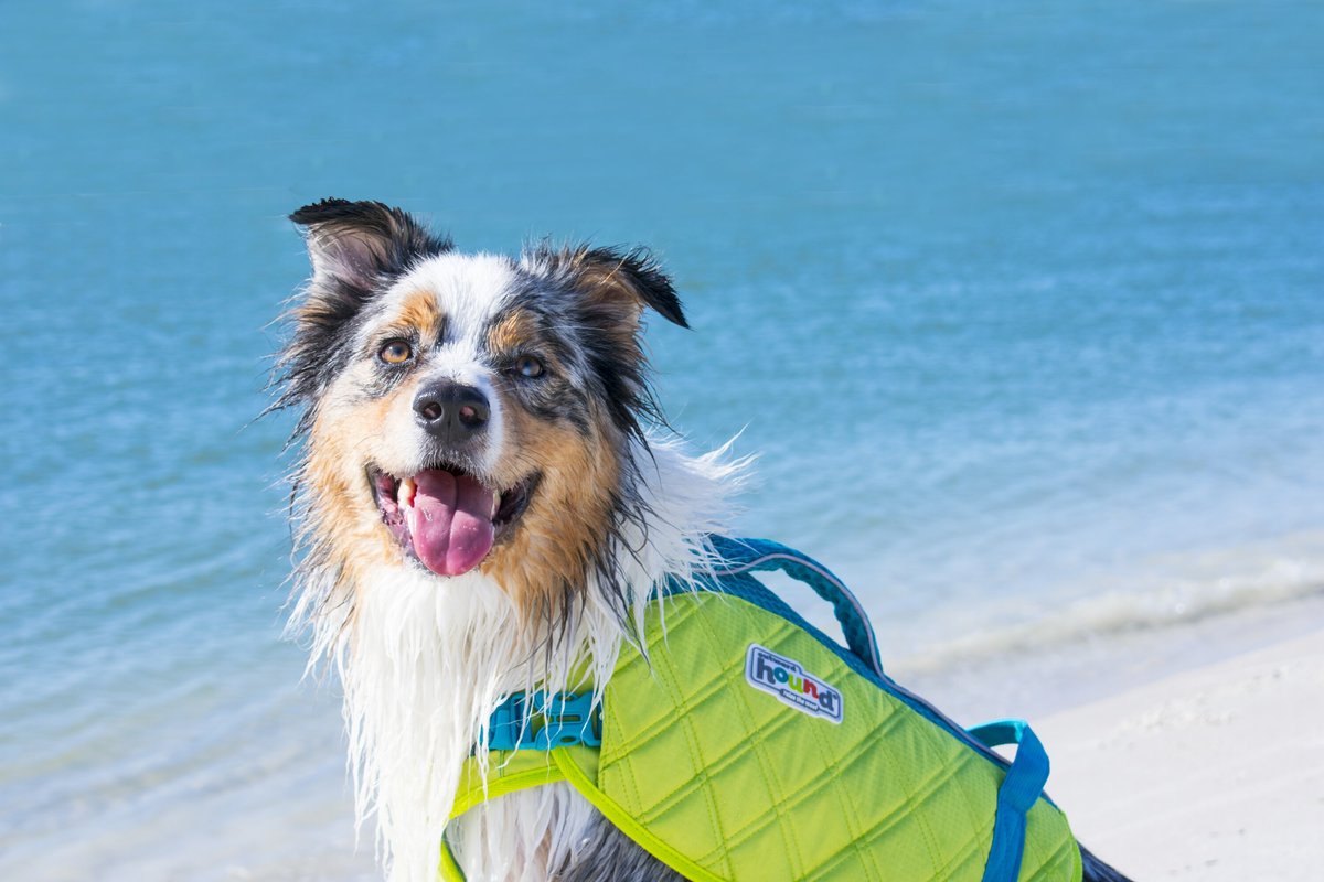 Outward Hound Standley Sport Dog Life Jacket