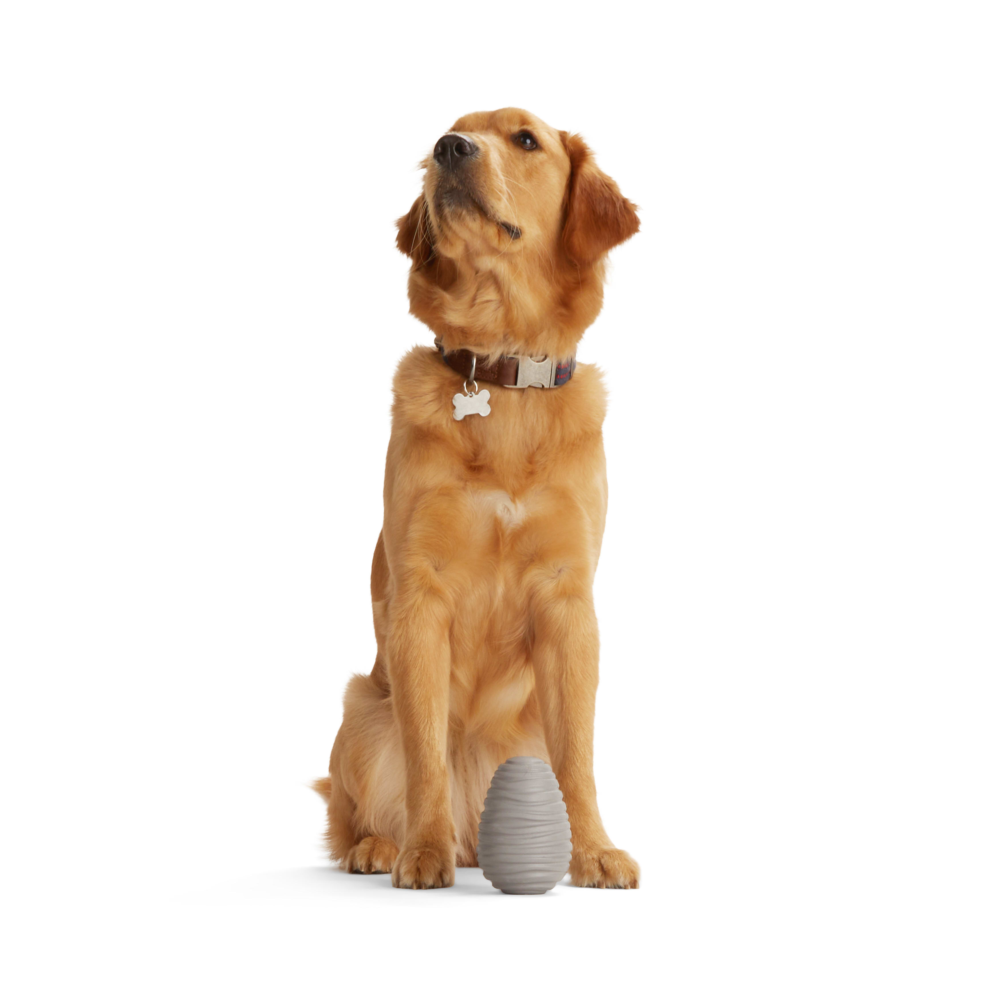 Reddy Grey Cone Dog Toy， Medium