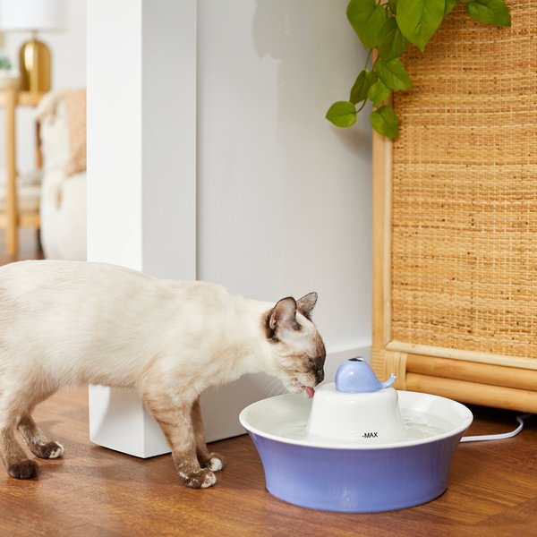 Frisco Ceramic Dog and Cat Whale Water Fountain