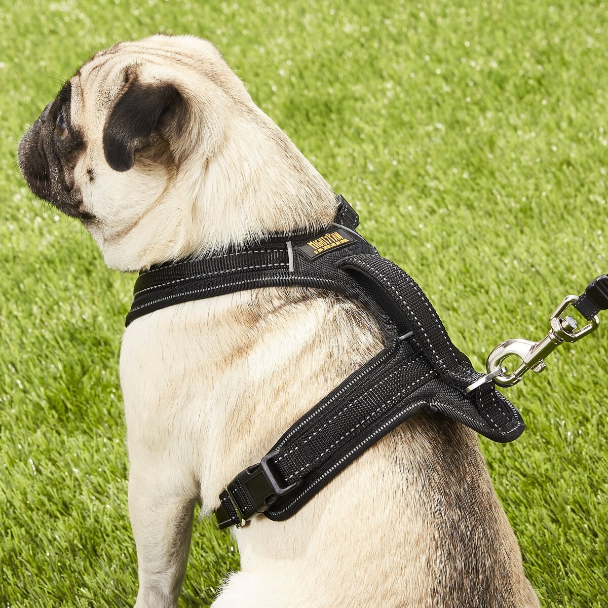 Mighty Paw Padded Sports Reflective No Pull Dog Harness