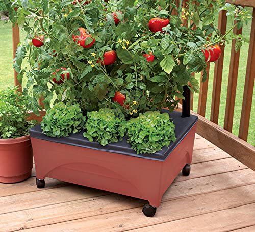 Emsco Group City Picker Raised Bed Grow Box  Self Watering and Improved Aeration  Mobile Unit with Casters