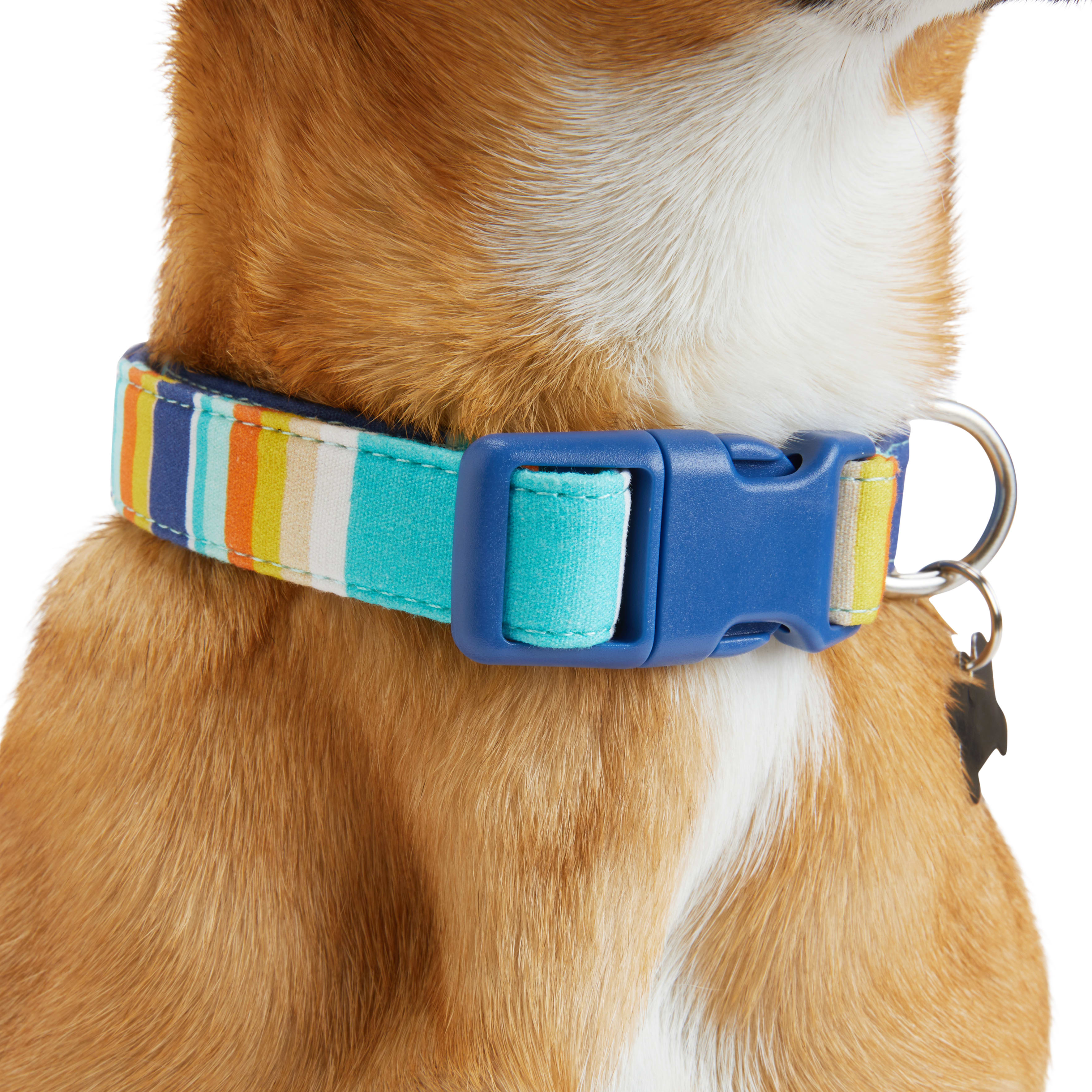 YOULY Blue/Orange Stripe Dog Collar， Small