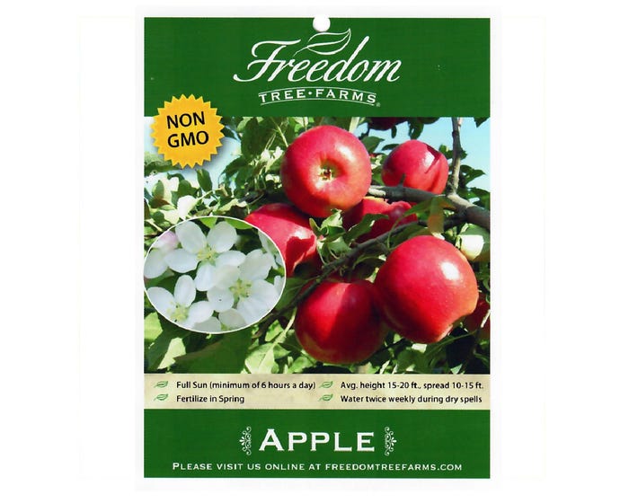 Freedom Tree Farms Stayman Winesap Apple Tree in 5 Gallon Bucket