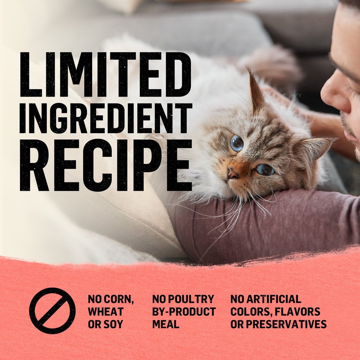 Purina Beyond Simply Indoor Wild-Caught Salmon， Egg and Sweet Potato Recipe Grain-Free Dry Cat Food