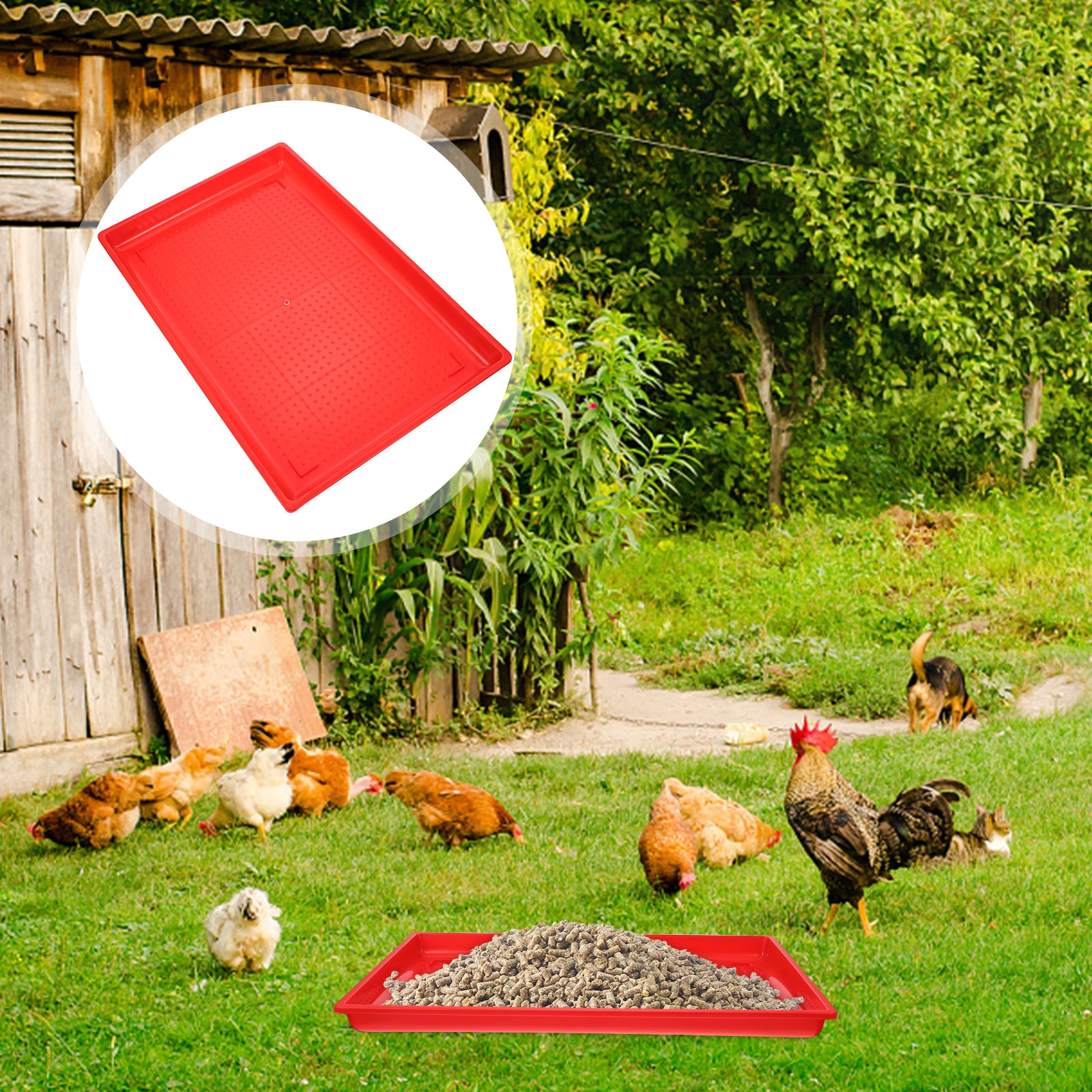 NICEXMAS Rectangle-shape Poultry Feeder Food Feeding Tray Chicken Water Drinker Holding Plate