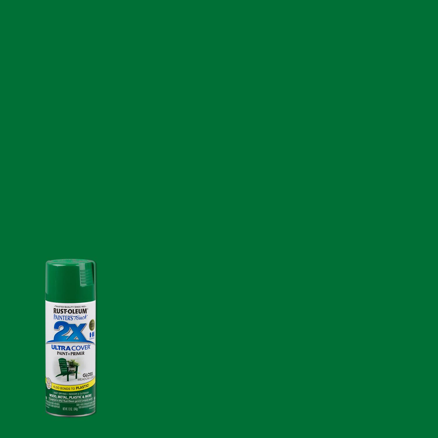 Rust-Oleum Painter\u0027s Touch 2X Ultra Cover Gloss Meadow Green Paint+Primer Spray Paint 12 oz