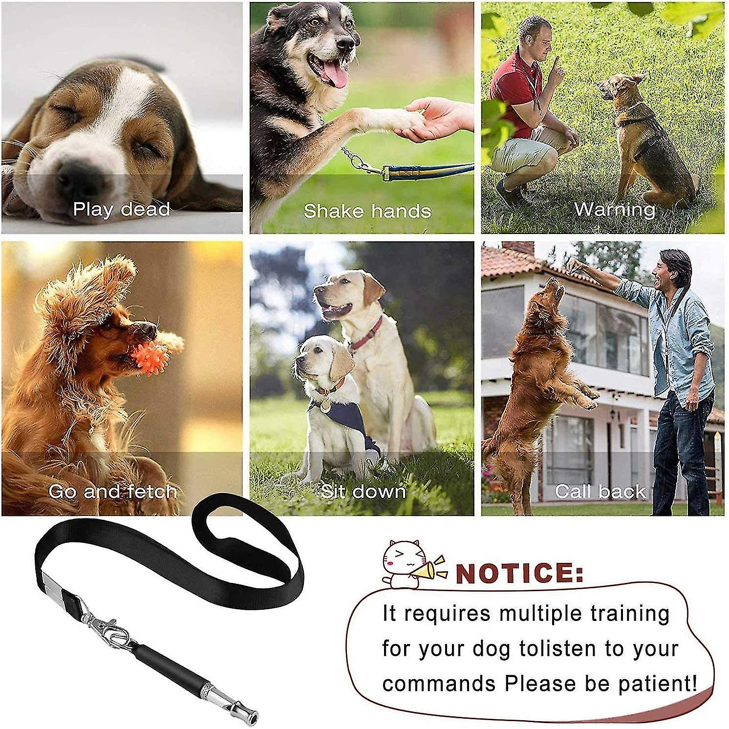 Dog Whistle， 2 Pieces Professional Ultrasonic Whistle， Adjustable With Lanyard Dog Training Kit Dog Whistle