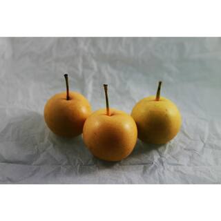 Online Orchards Dwarf Nijisseiki Asian Pear Bare Root FTAS004