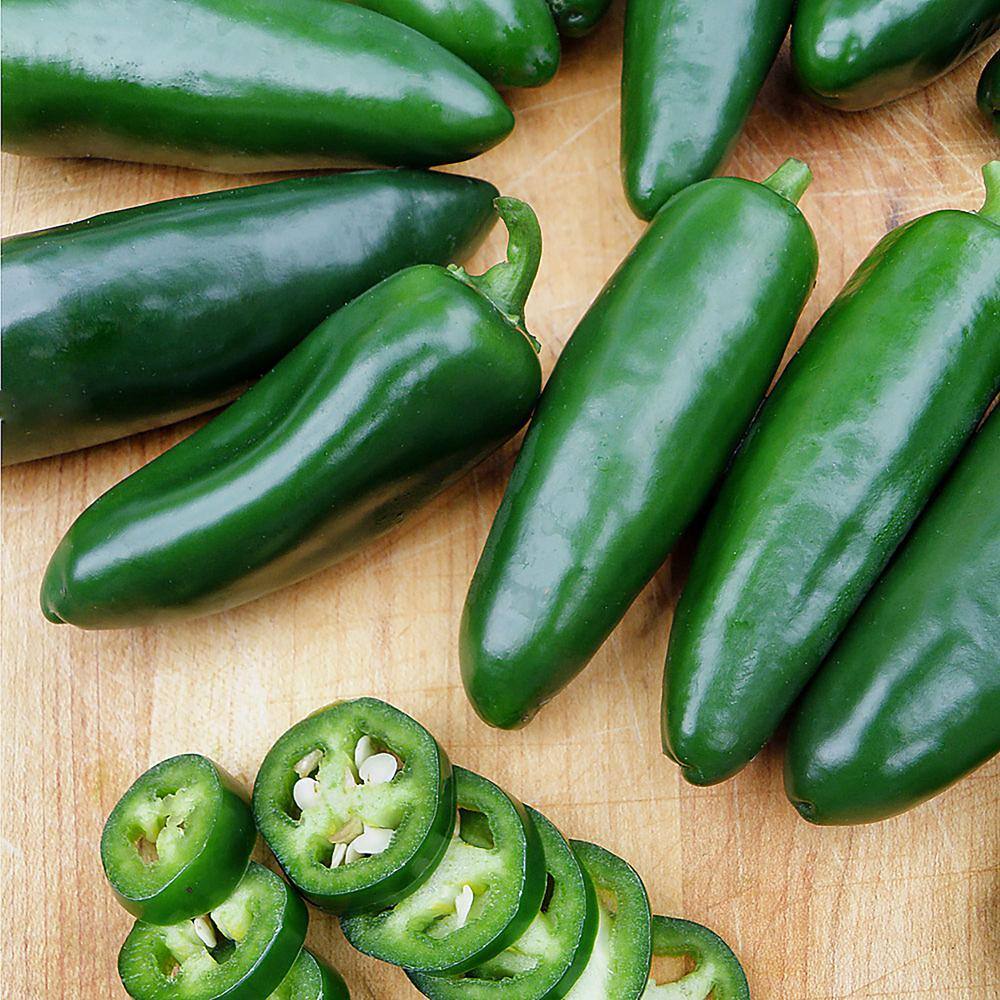 Bonnie Plants 19 oz. Hot Jalapeno Pepper Vegetable Plant 2500