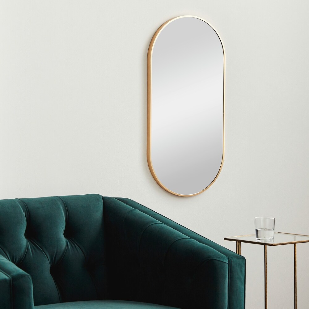 Artistic Weavers Aranya Modern Aluminum Oval Pill Shaped Accent Mirror