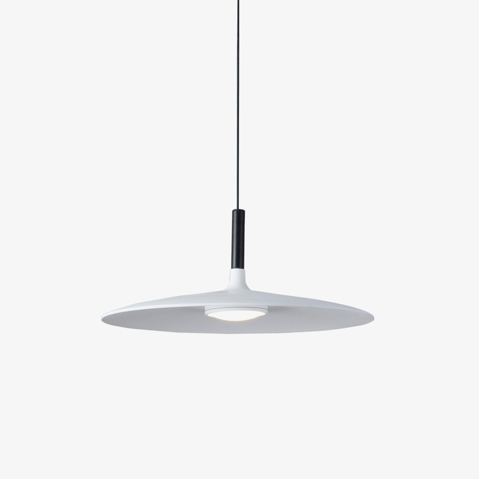 Aplomb Metal Pendant Lamp