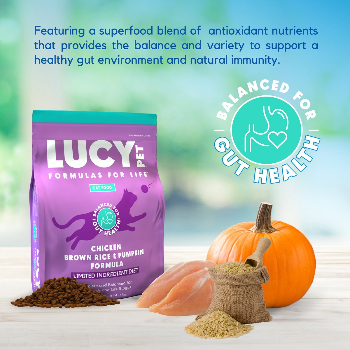 Lucy Pet Products Chicken， Brown Rice and Pumpkin Limited Ingredient Diet Cat Food