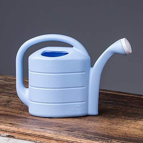 Novelty 30402 2 Gallon Deluxe Watering Can， Sky Blue