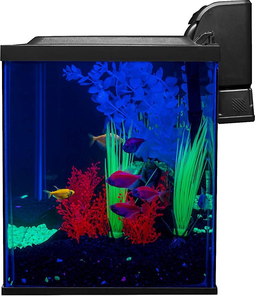 GloFish Aquarium Kit