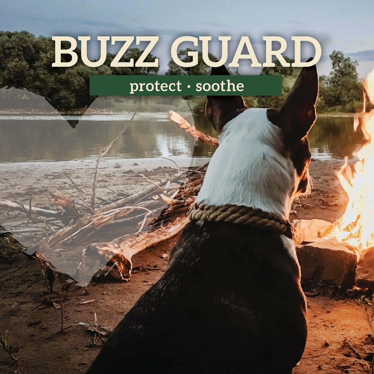 Earth Heart Buzz Guard Aromatherapy Dog Spray