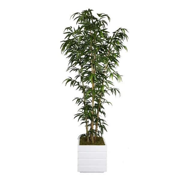 Vintage Home 78inch Tall Natural Bamboo Tree in 14inch Planter