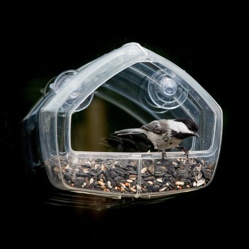 WINDOW BIRD FEEDER CLEAR