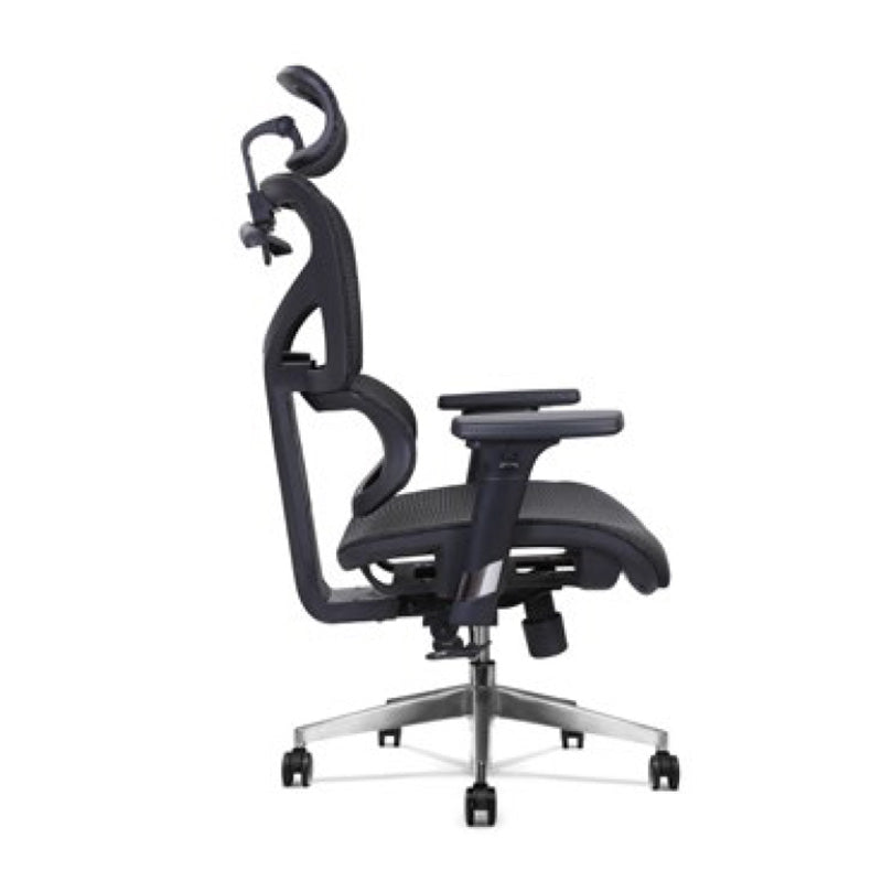 BIRGER Executive Office Chair with Headrest - Black