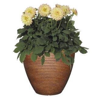 CHG CLASSIC HOME  GARDEN 13 in. Burnished Cali Resin Planter 4783-189R