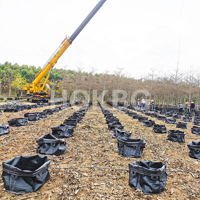 HOKBG Hot Sale 5 7 10 20 30 50 100 200 Gallon Planter Grow Bags Aeration Pots Garden Potato PP woven Fabric Plant Grow Bags