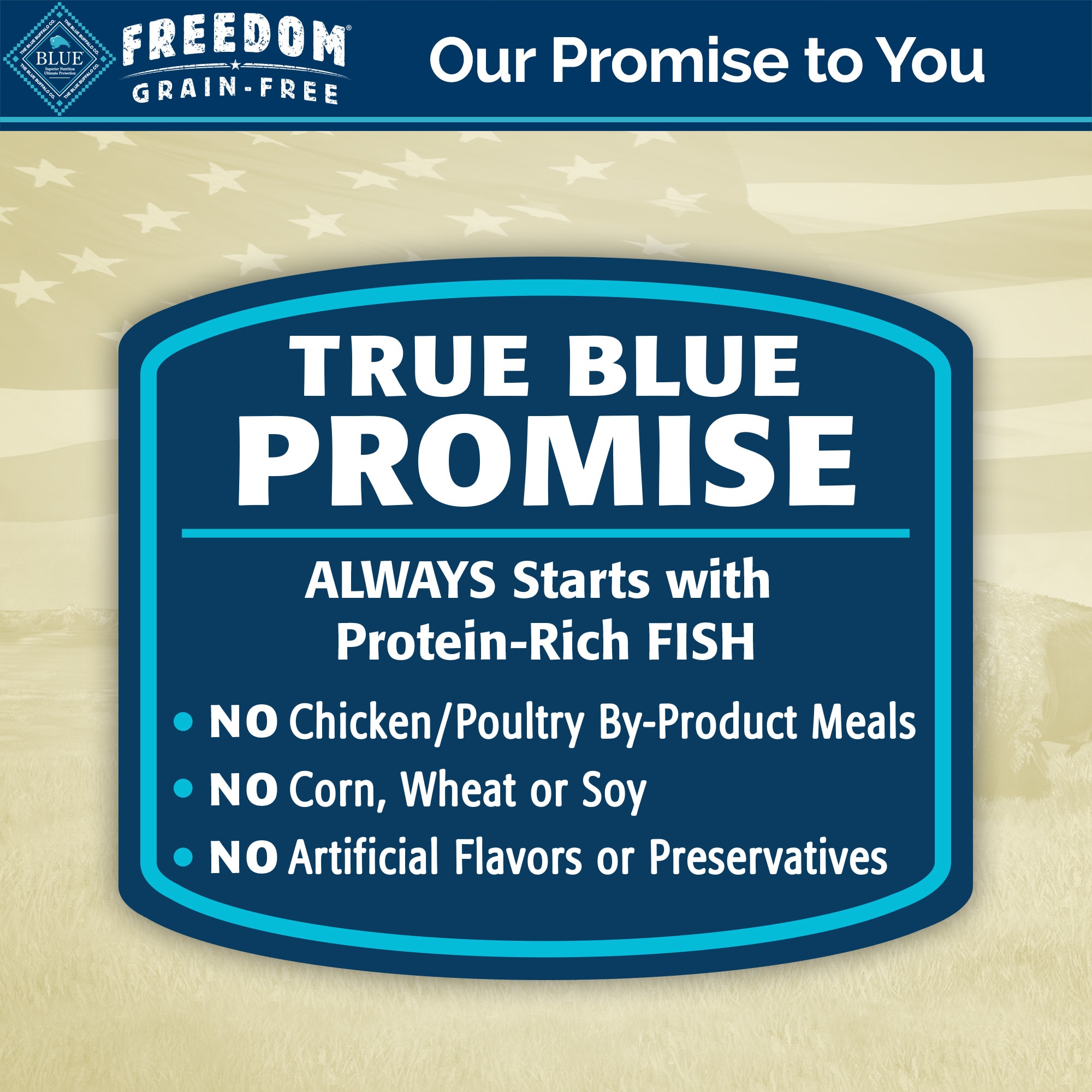 Blue Buffalo Blue Freedom Grain-Free Indoor Fish Recipe Wet Cat Food， 5.5 oz.， Case of 24