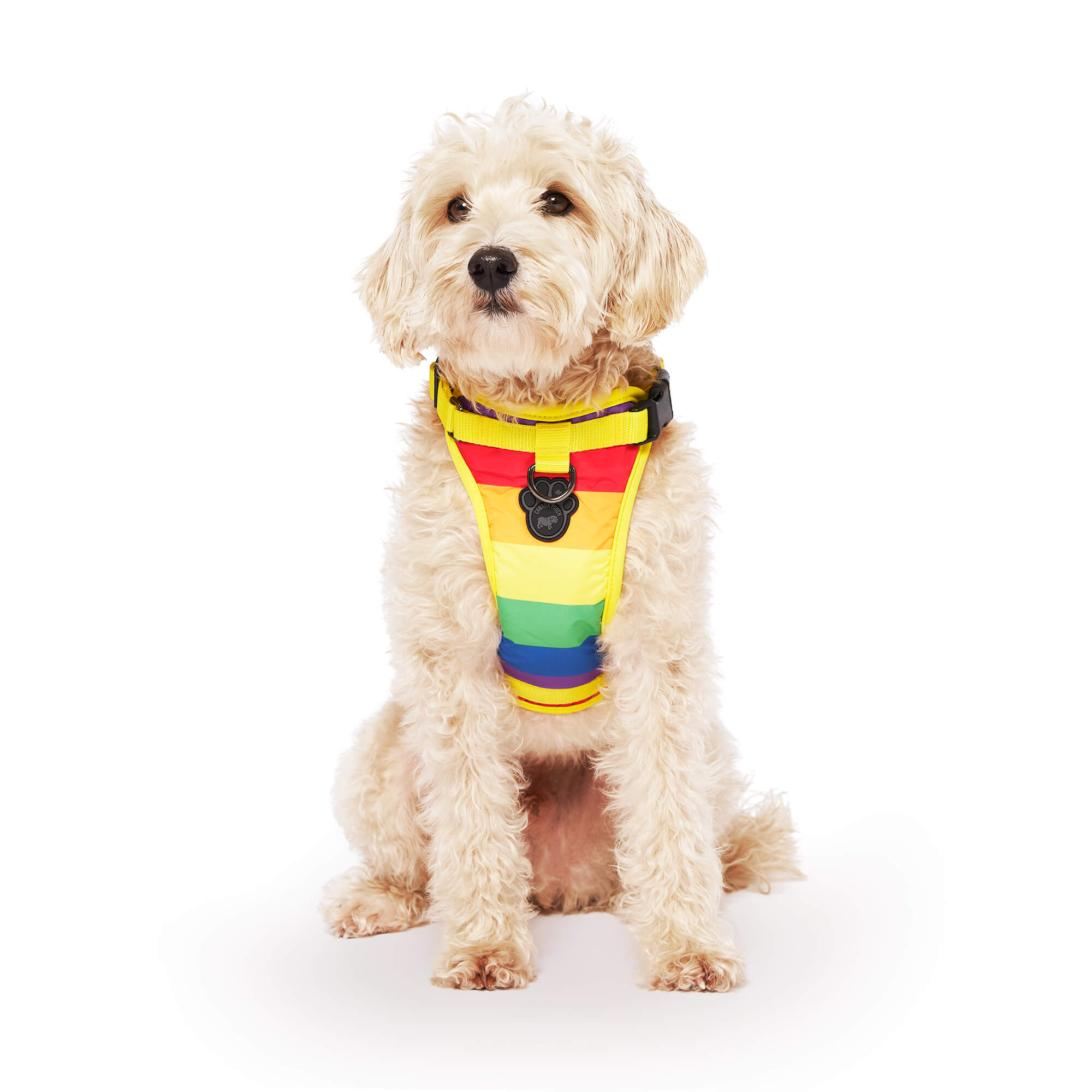 Canada Pooch Everything Stripe Dog Harness， Small