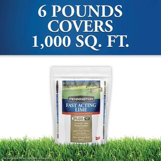 Pennington 6 lb. Fast Acting Lime II 100517668
