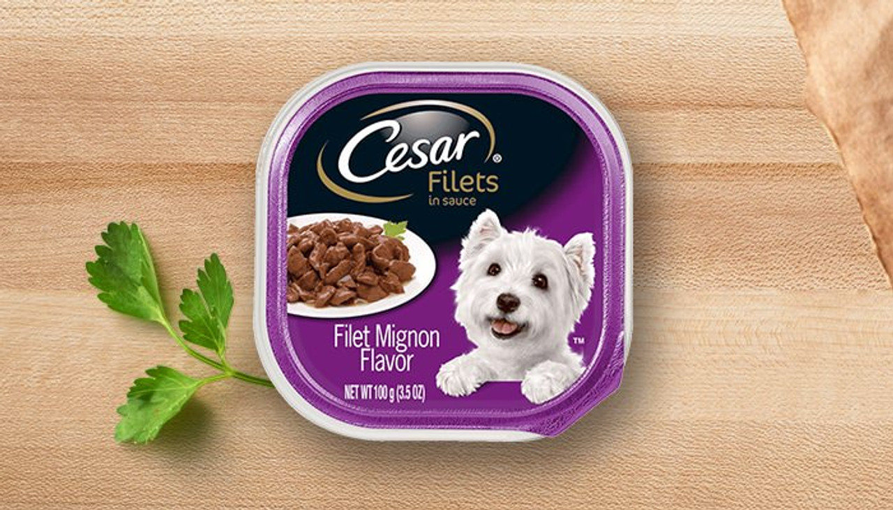 Cesar Filet Mignon Flavor Filets In Gravy Wet Dog Food， 3.5 Oz.