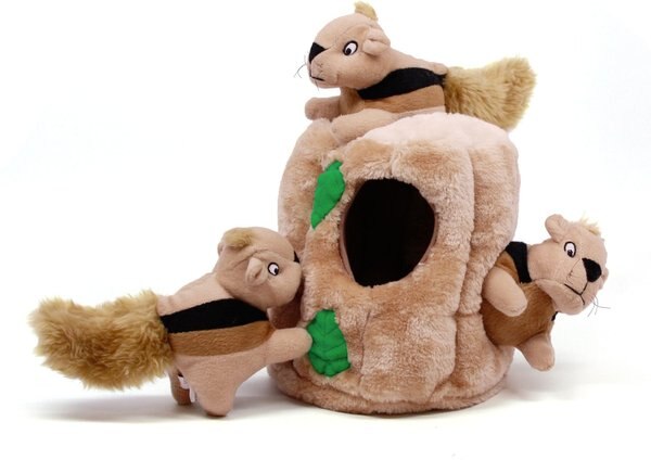 Outward Hound Hide A Squirrel Squeaky Puzzle Plush Dog Toy