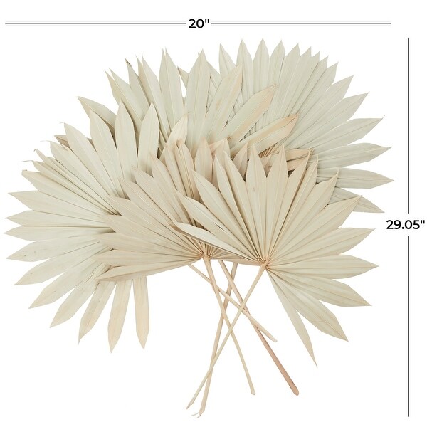 Cream Dried Plant Handmade Large Sun Spear Palm Leaf Home Decor Natural Foliage