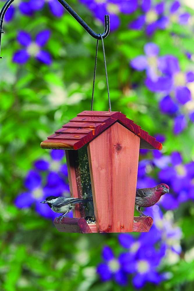 Pennington Penn Pride Cedar Treater Bird Feeder