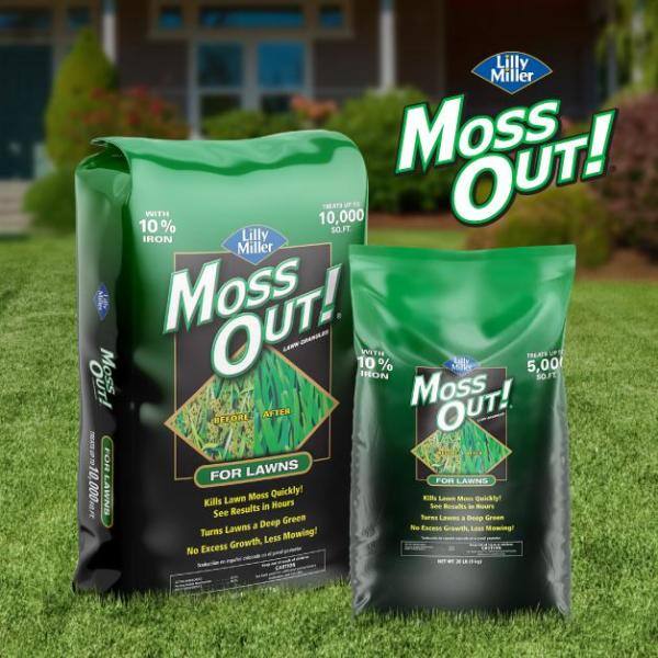 Moss Out! 20 lb. Moss Out! Moss Killer Lawn Granules 100099164