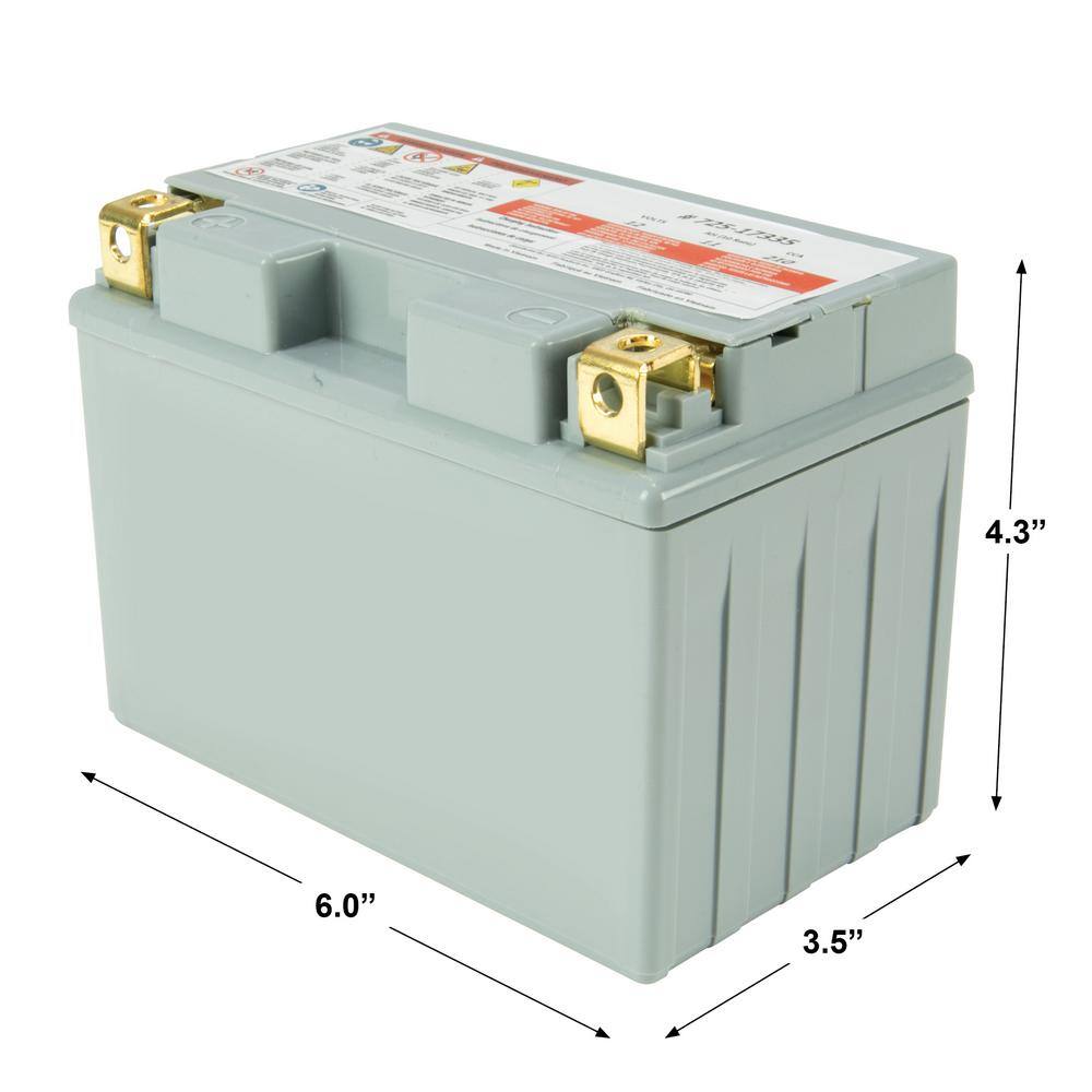 Cub Cadet Replacement 12-Volt 11 Ah 210 CCA Sealed AGM Riding Lawn Mower Battery 725P17335