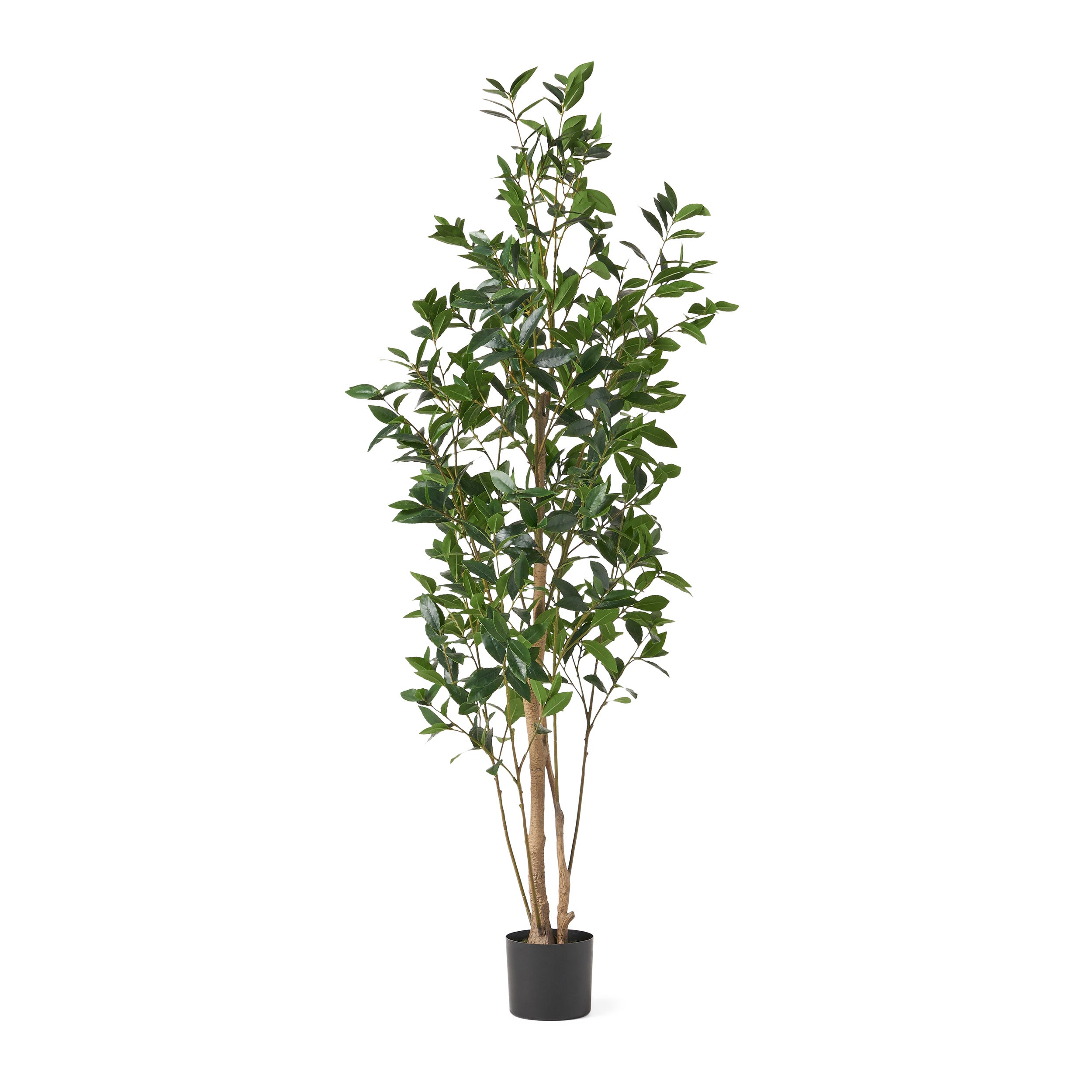 Forgan Artificial Laurel Tree