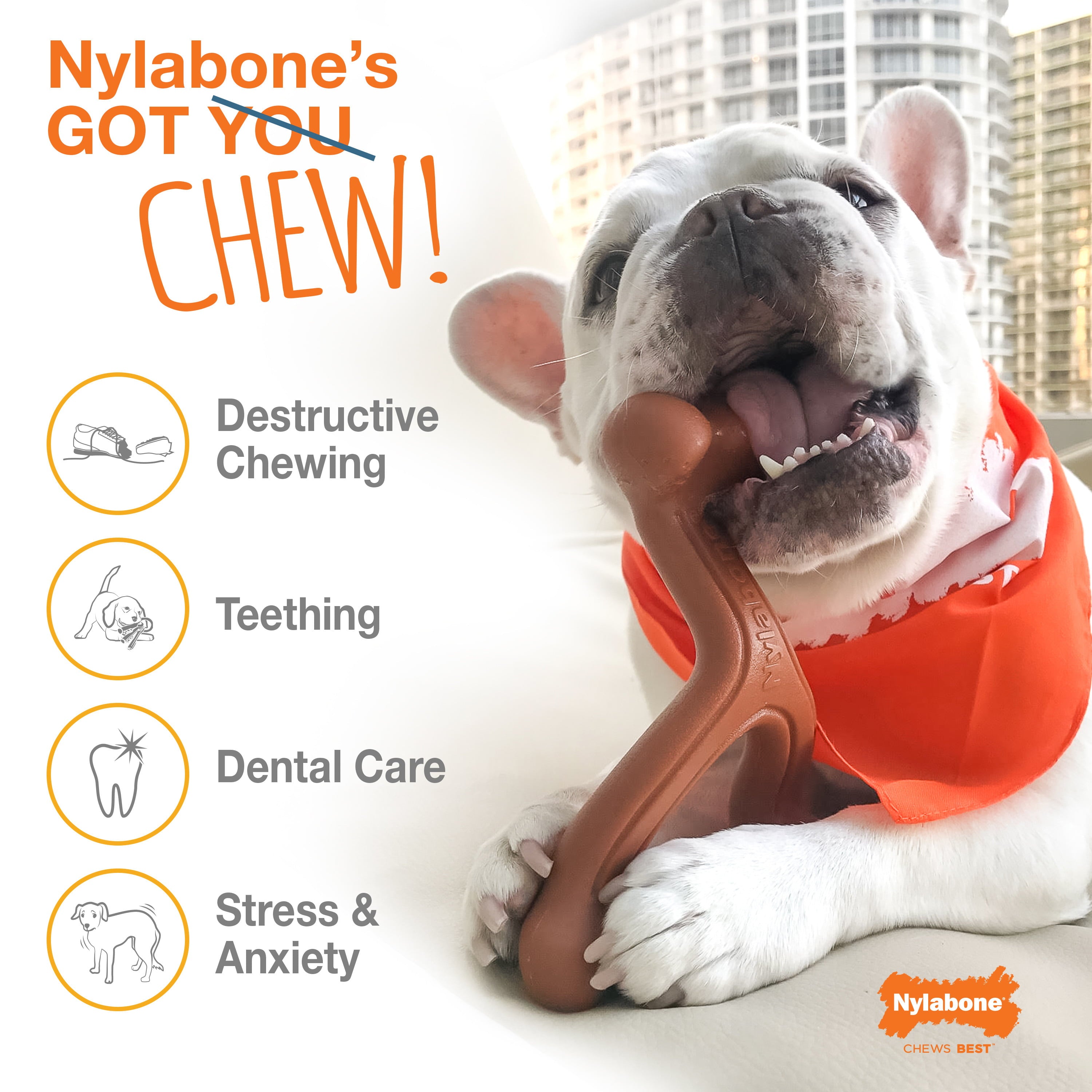 Nylabone Wishbone Power Chew Dog Toy Adult Dog Original Original Medium/Wolf (1 Count)