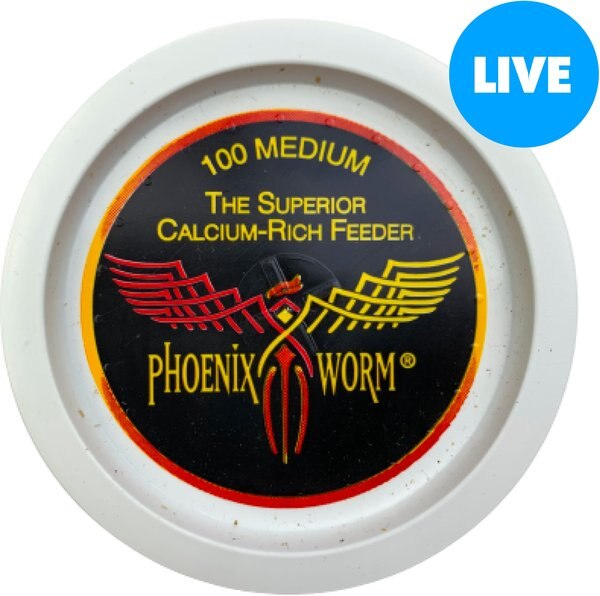 ABDragons Medium Phoenix Worms Small Pet and Reptile Food