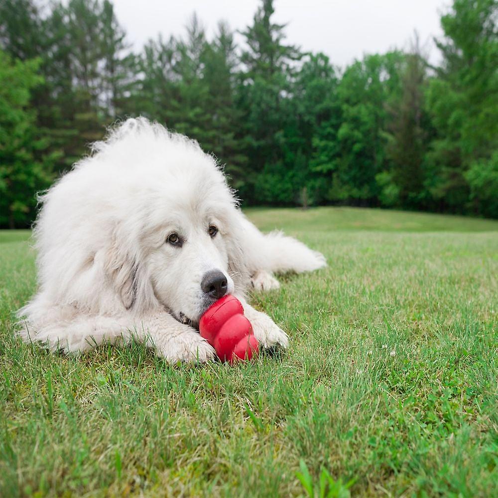 Classic dog chew toy