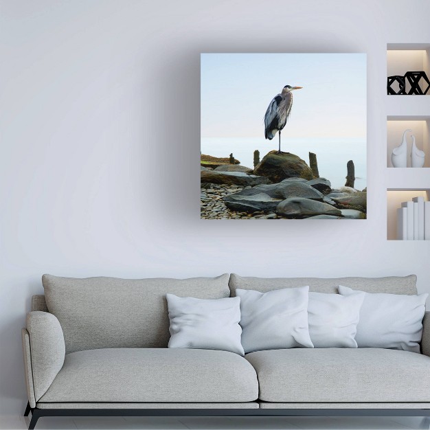 X 24 quot James Mcloughlin x27 beachscape Heron I x27 Unframed Wall Canvas Trademark Fine Art