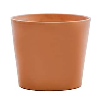 Pennington 10 in. Medium Terra Cotta Clay Flair Pot Cabo 100523388