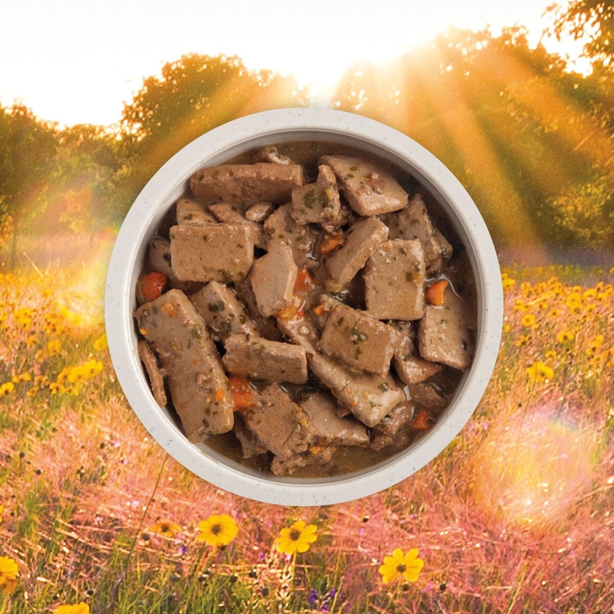 ACANA Premium Chunks Lamb Recipe in Bone Broth Grain-Free Wet Dog Food， 12.8-oz can， case of 12